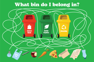 Which Bin?